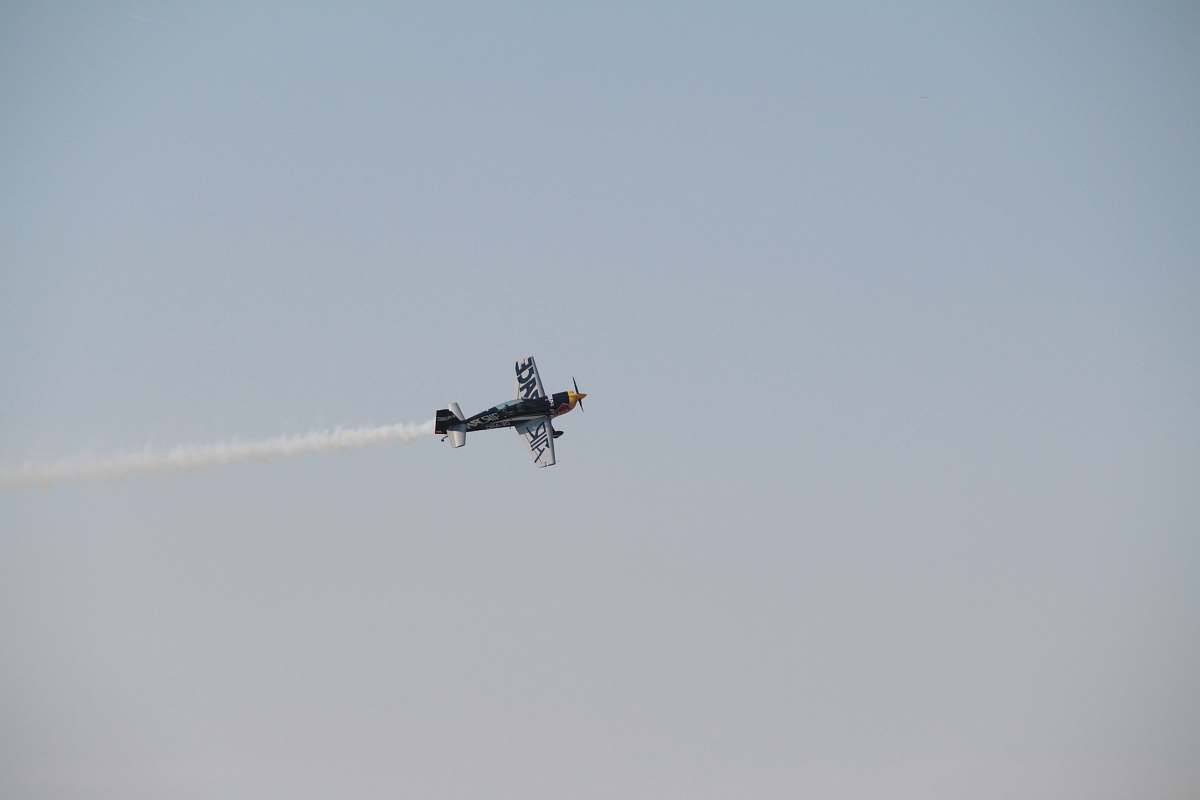 bird gray helicopter animal