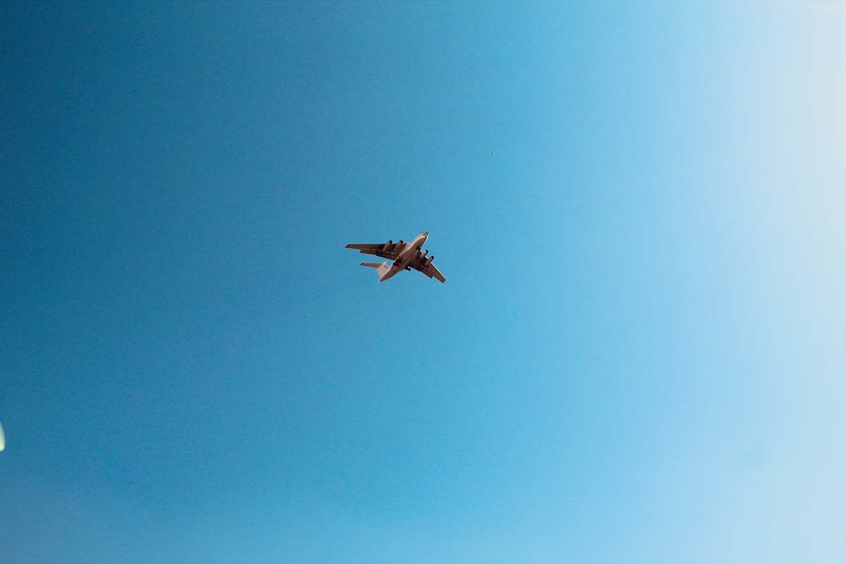 bird airliner on flight flying