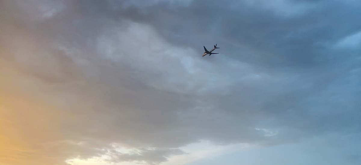 bird airliner under gray clouds flying