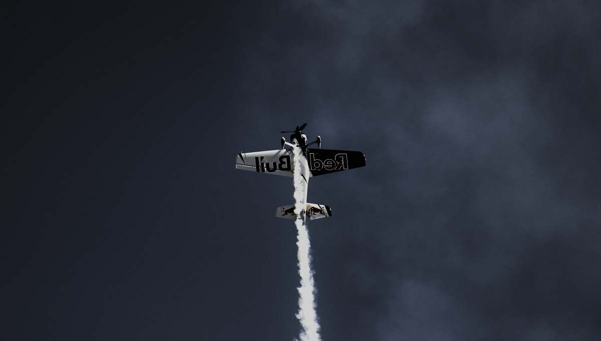 bird airplane in mid air flying