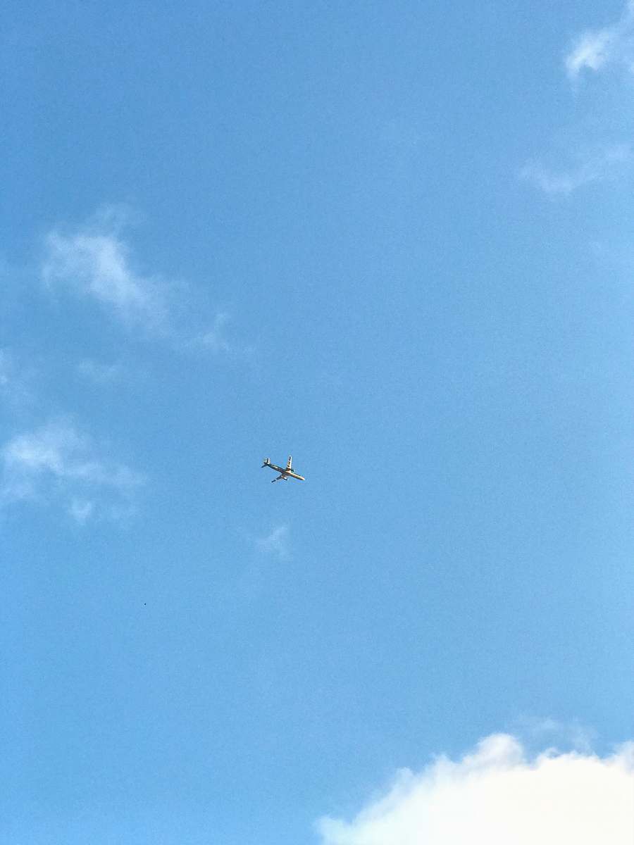 blue airplane on mid air bird