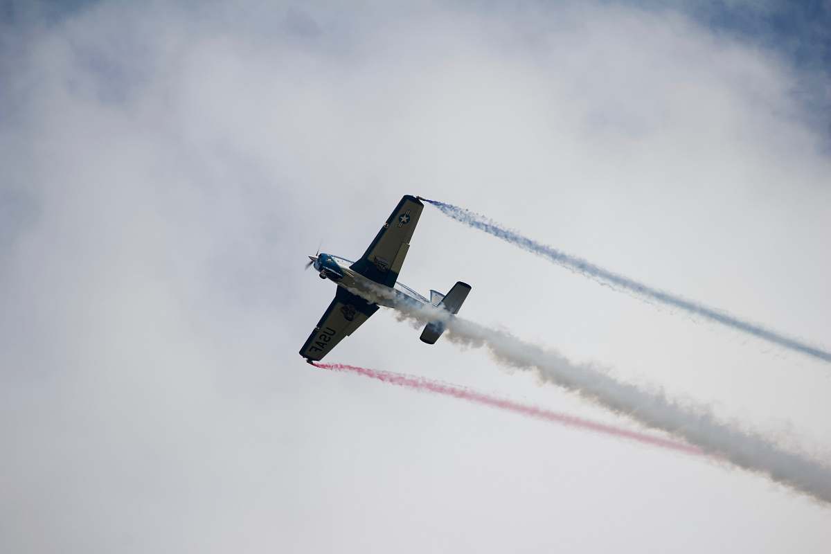 bird black airplane flying