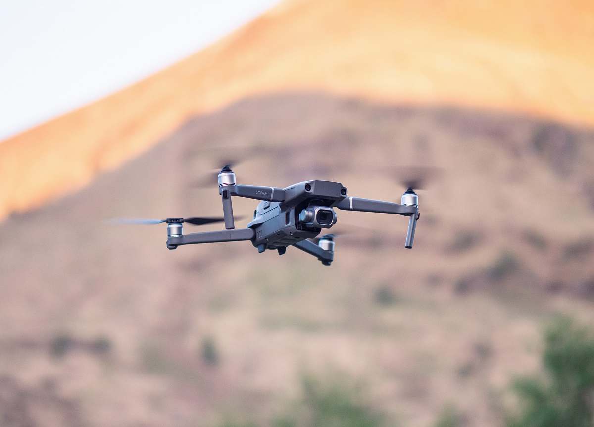 bird black and gray quadcopter drone flying