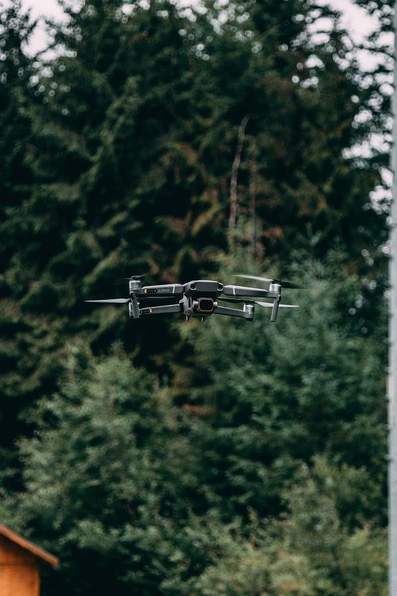 bird black drone flying