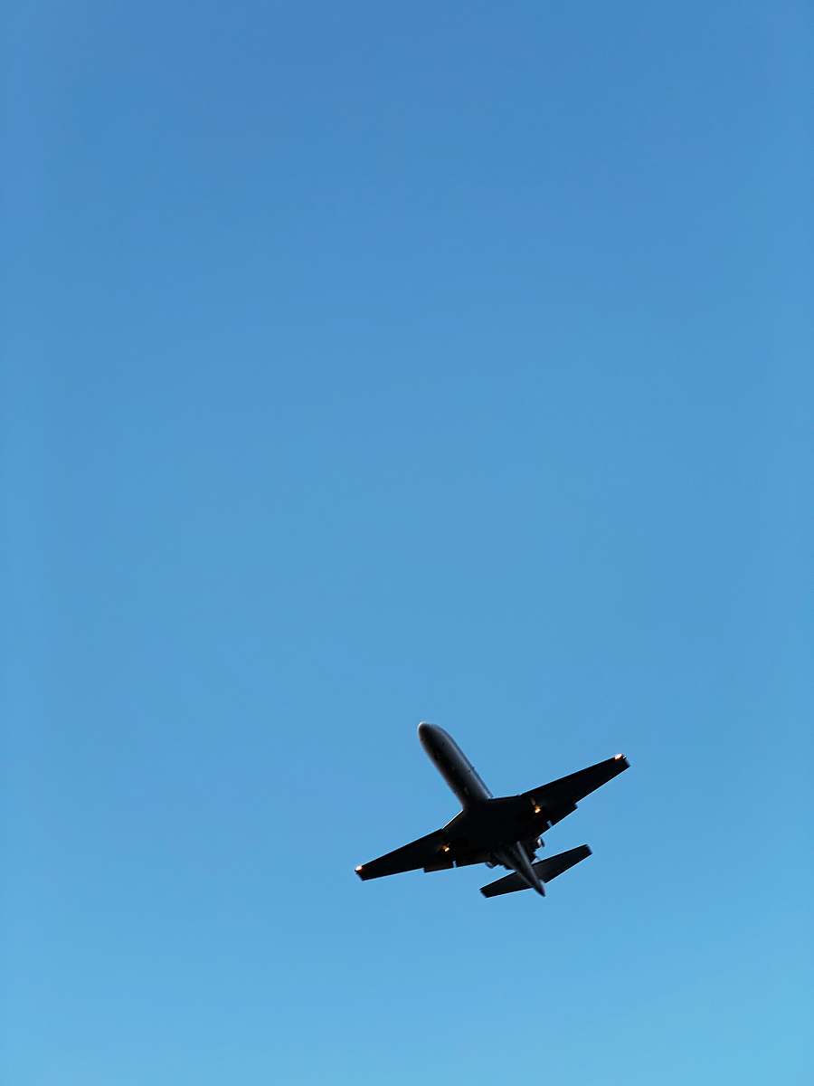 bird black jet plane flying
