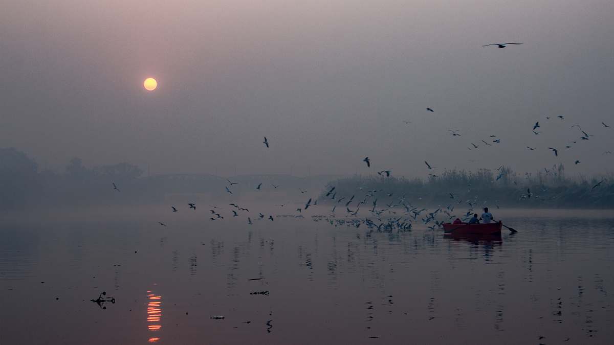 flock boat sailing in water grey