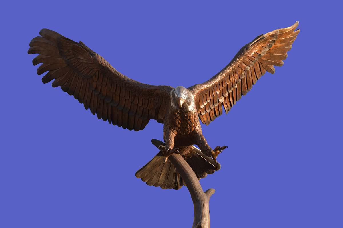 bird brown and white eagle statue vulture
