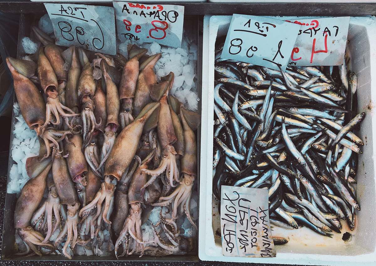 fish dried fish and squids herring