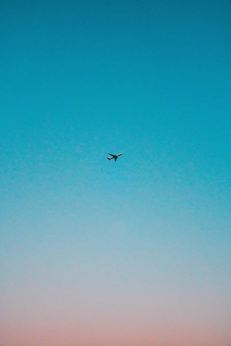 bird flying airplane under blue sky flying