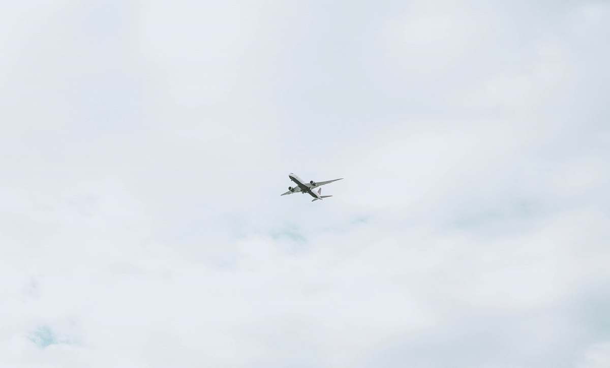 bird flying passenger plane during daytime flying
