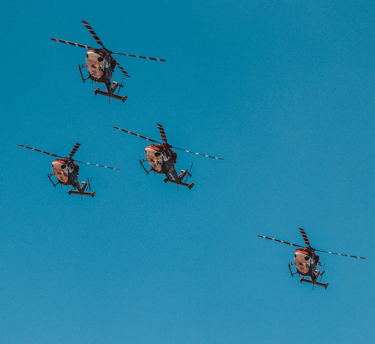 bird four helicopters flying helicopter