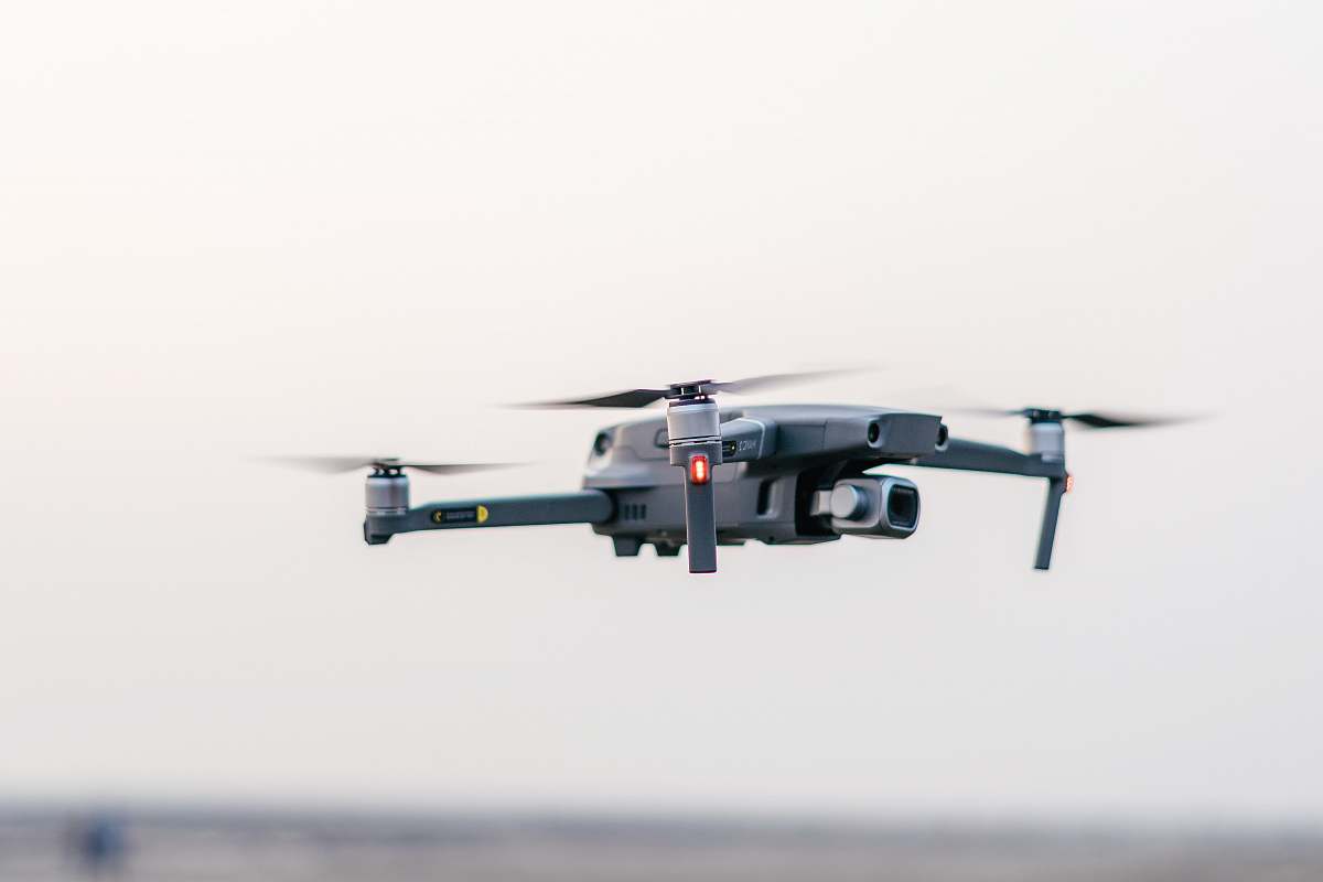 bird gray drone quadcopter flying