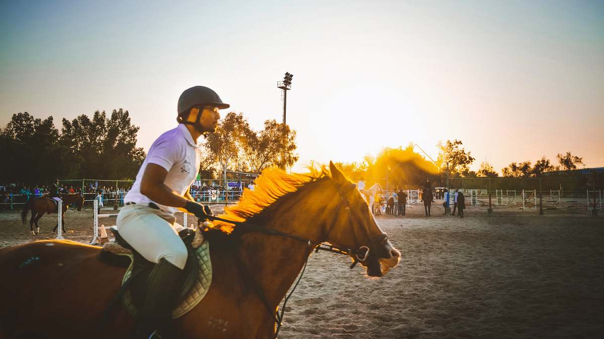 mammal man riding brown horse horse