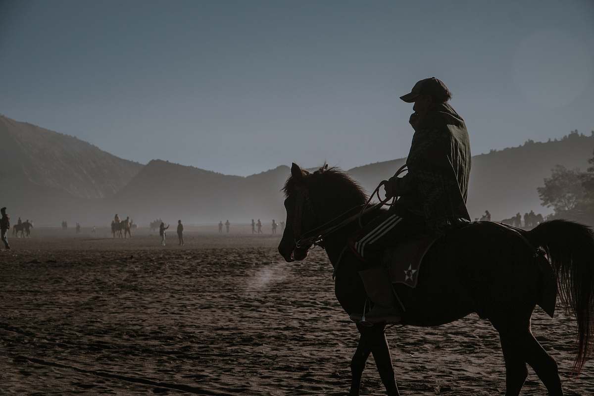 mammal man riding horse horse