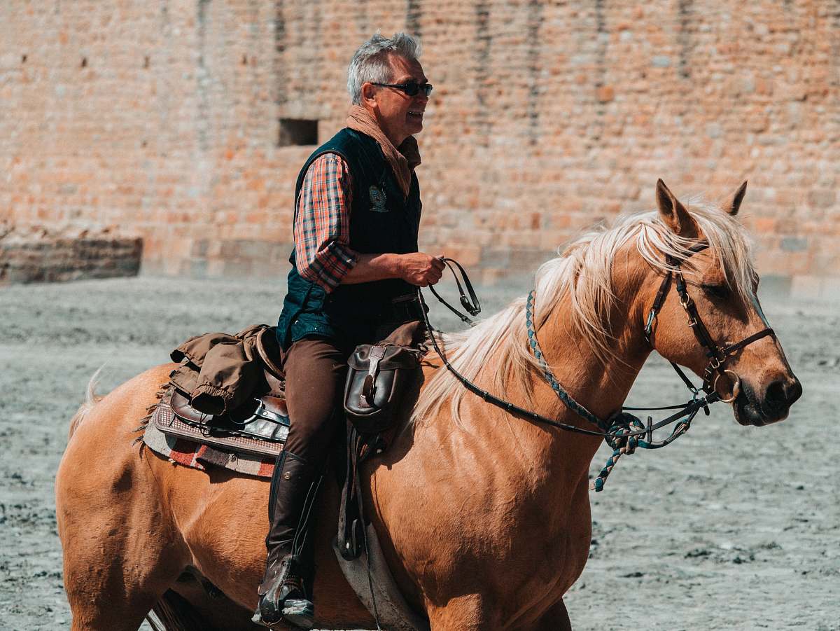 mammal man riding on brown horse horse