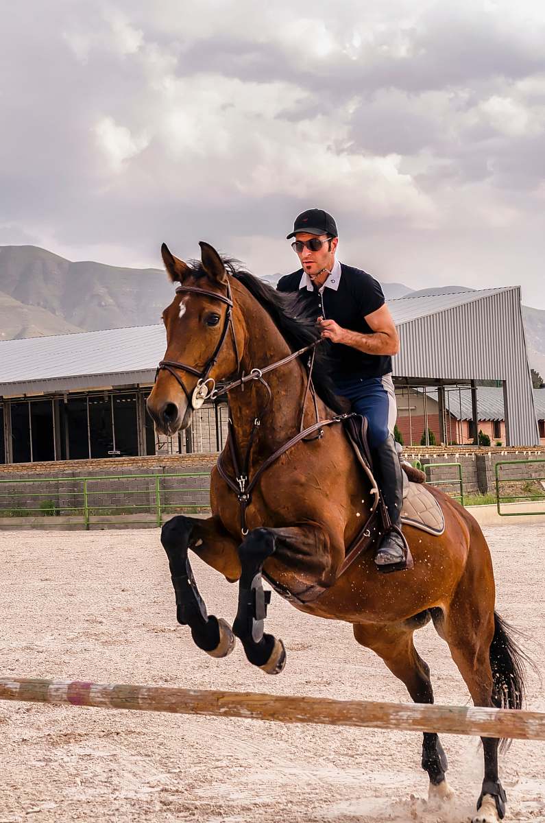 mammal man wearing black cap riding brown horse person