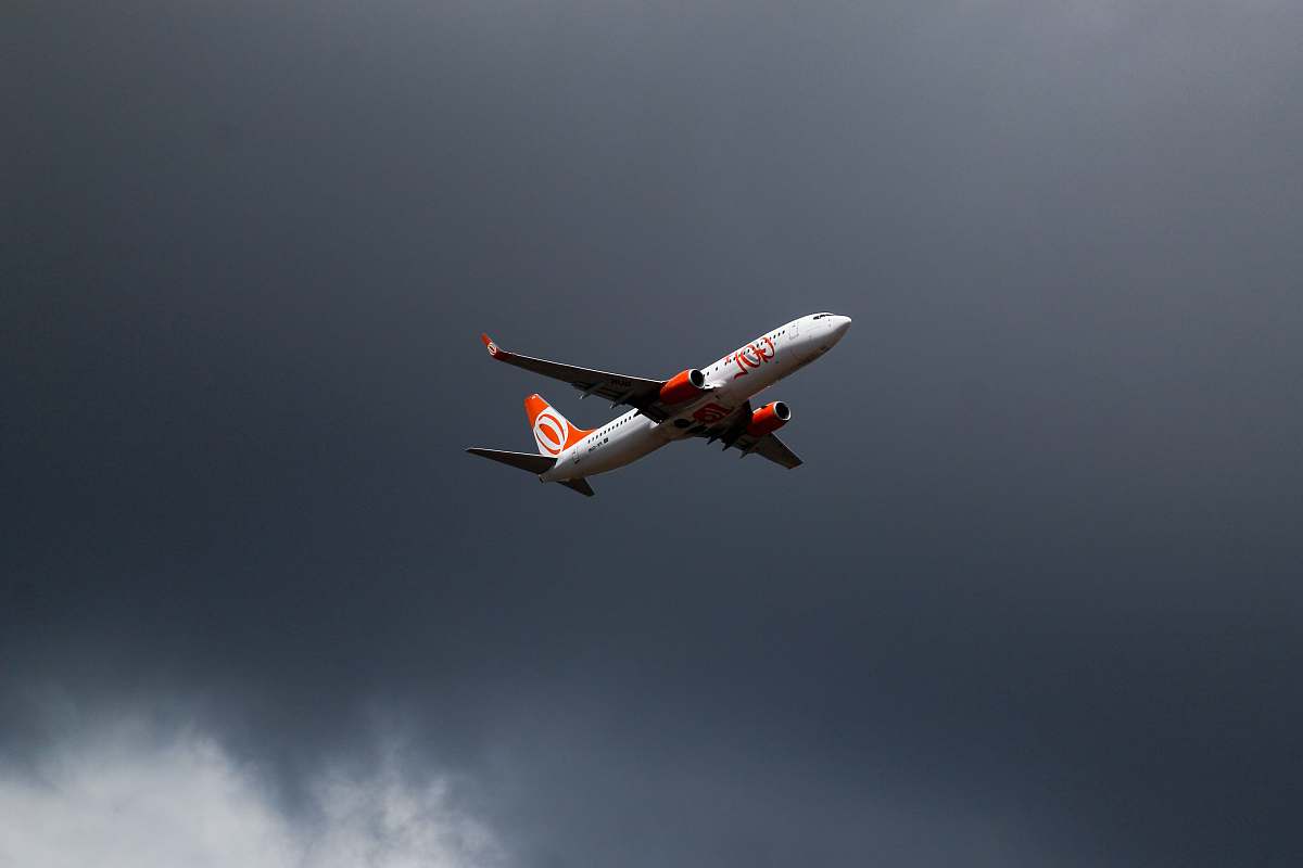 bird orange and white airliner on flight flying