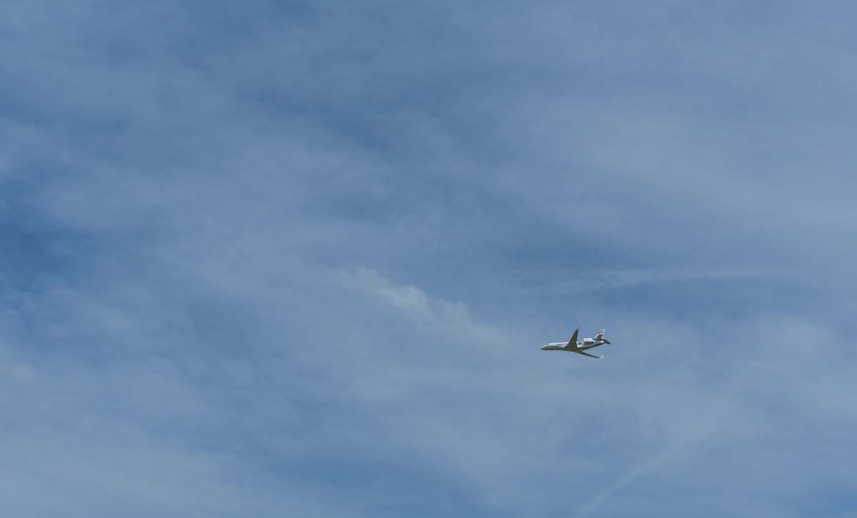 bird plane flying during daytime flying