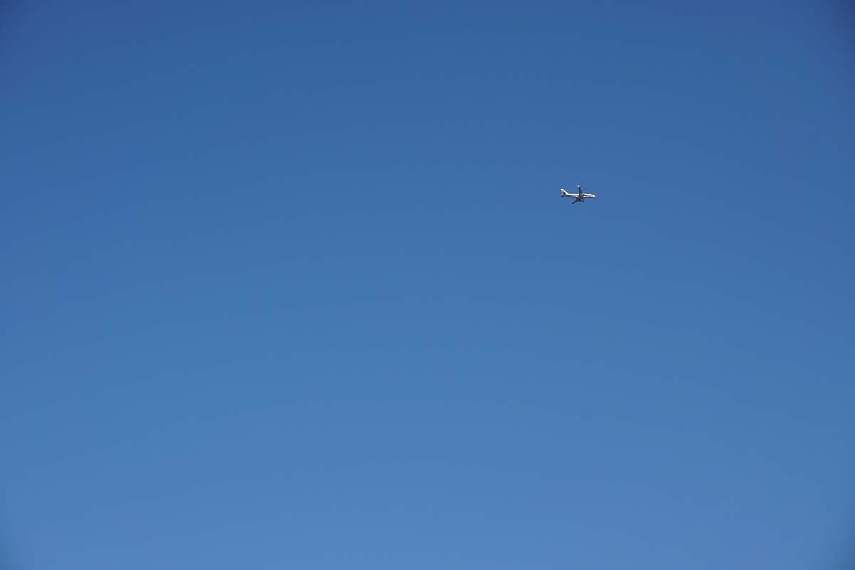 bird plane flying on sky blue