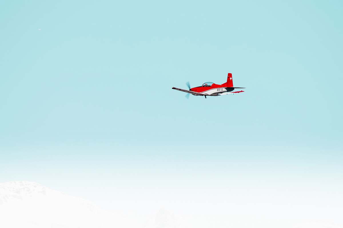 bird red airplane flying
