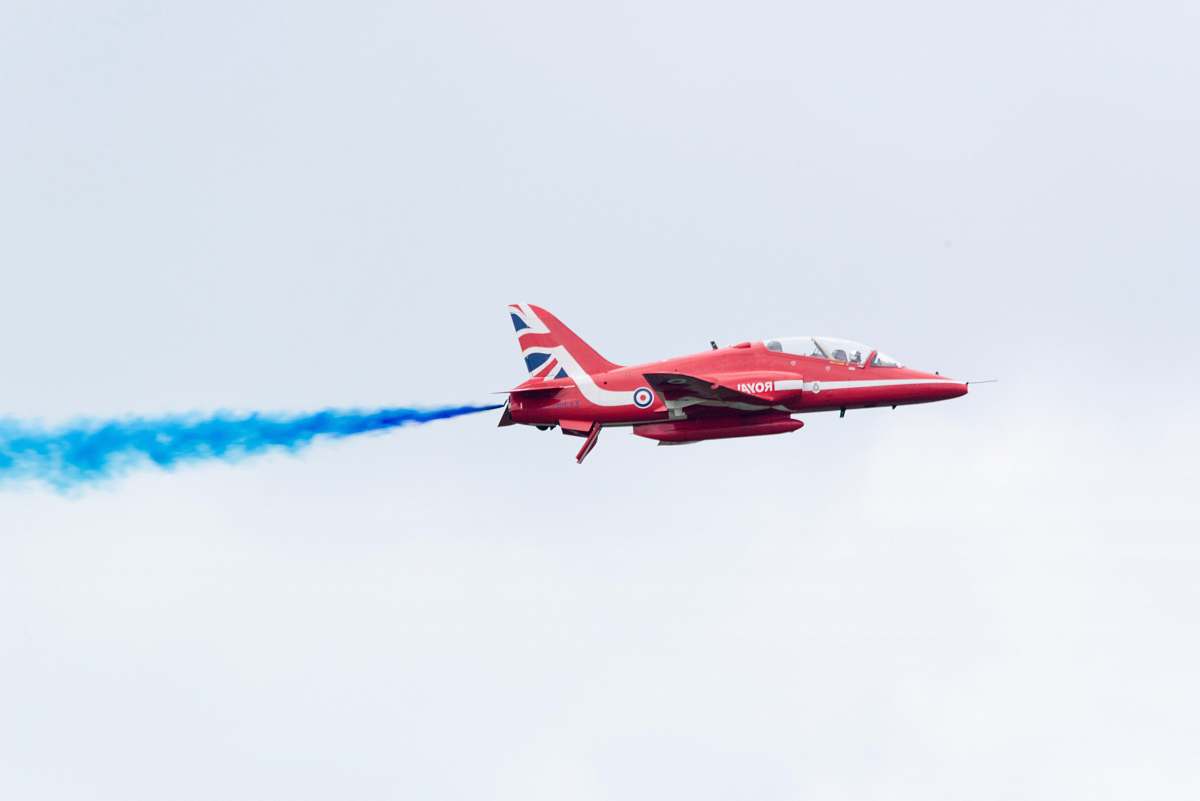 bird red and white airplane flying