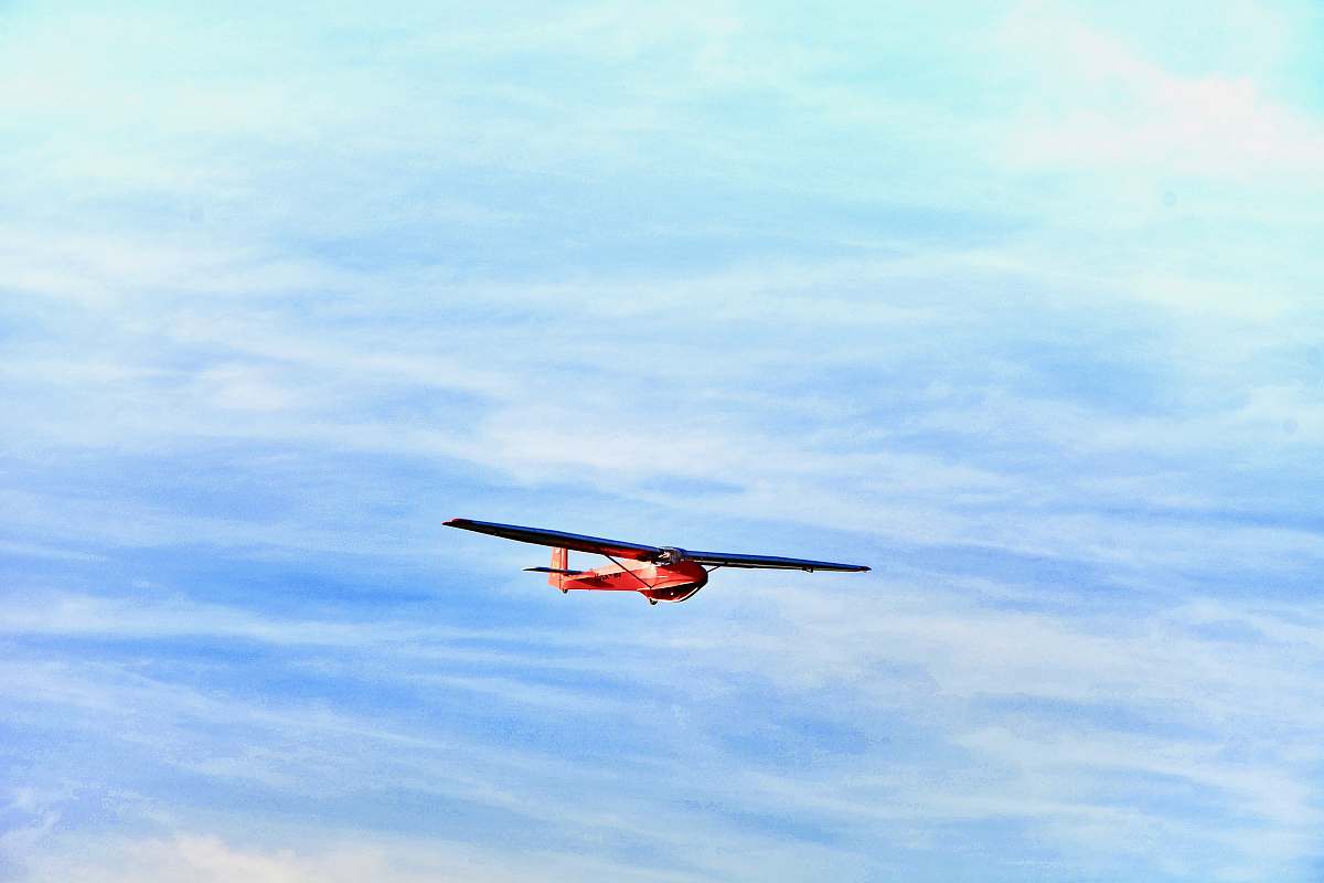 bird red biplane flying