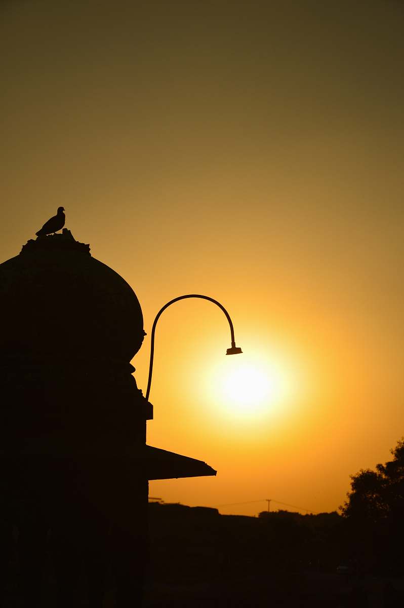 bird silhouette of lamp post silhouette