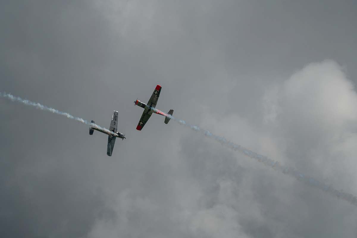 bird two gray planes under white clouds flying