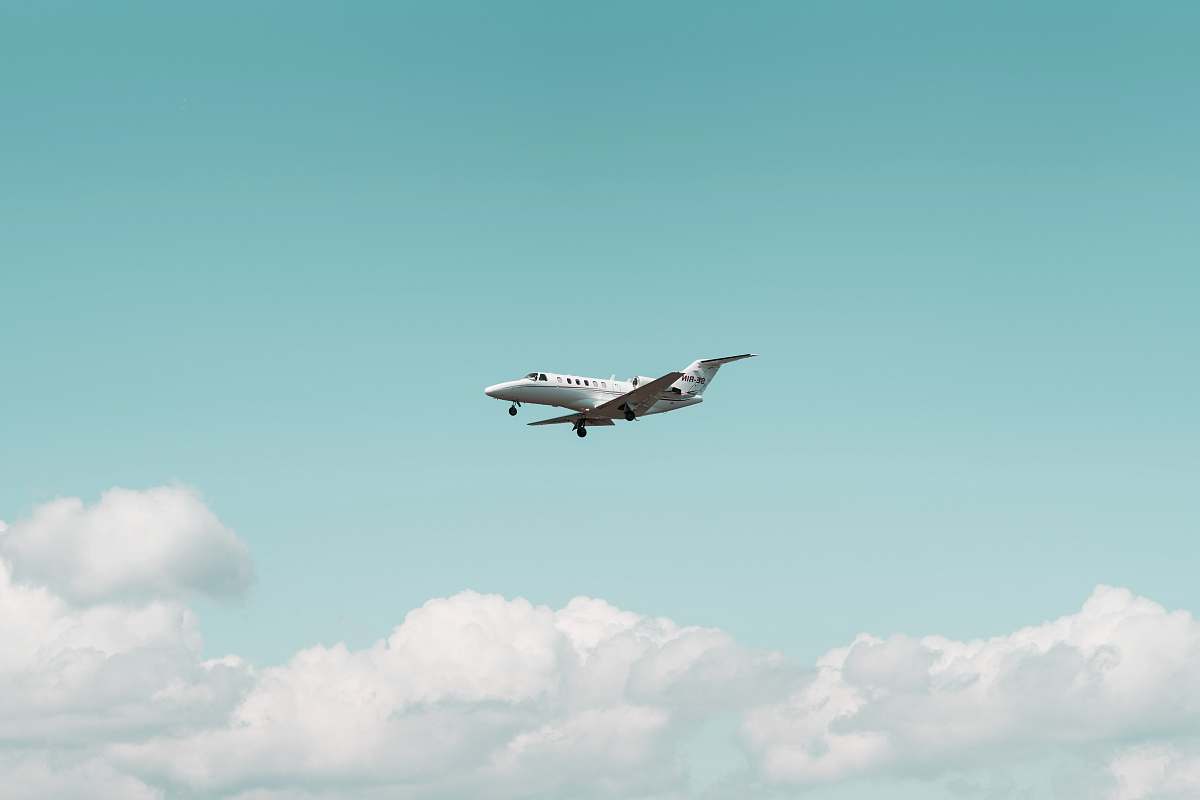 bird white airplane flying under Cumulus clouds flying