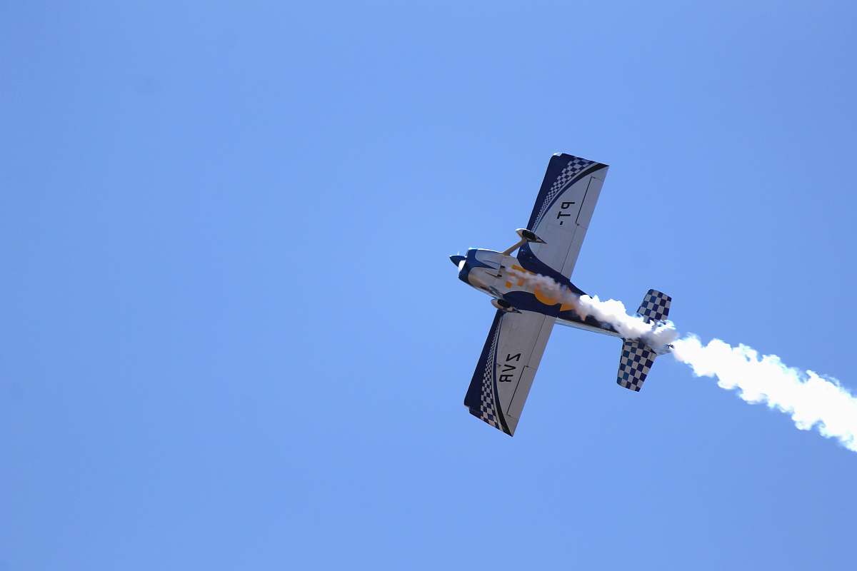 bird white and blue plane on focus photography flying