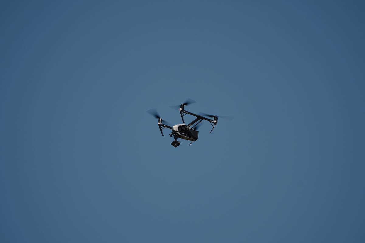 bird white drone flying