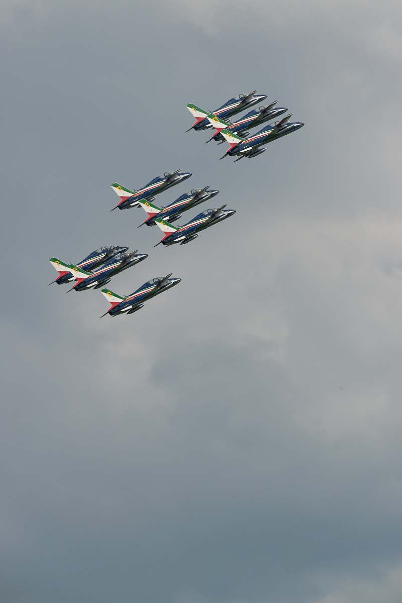 bird white plane lot flying