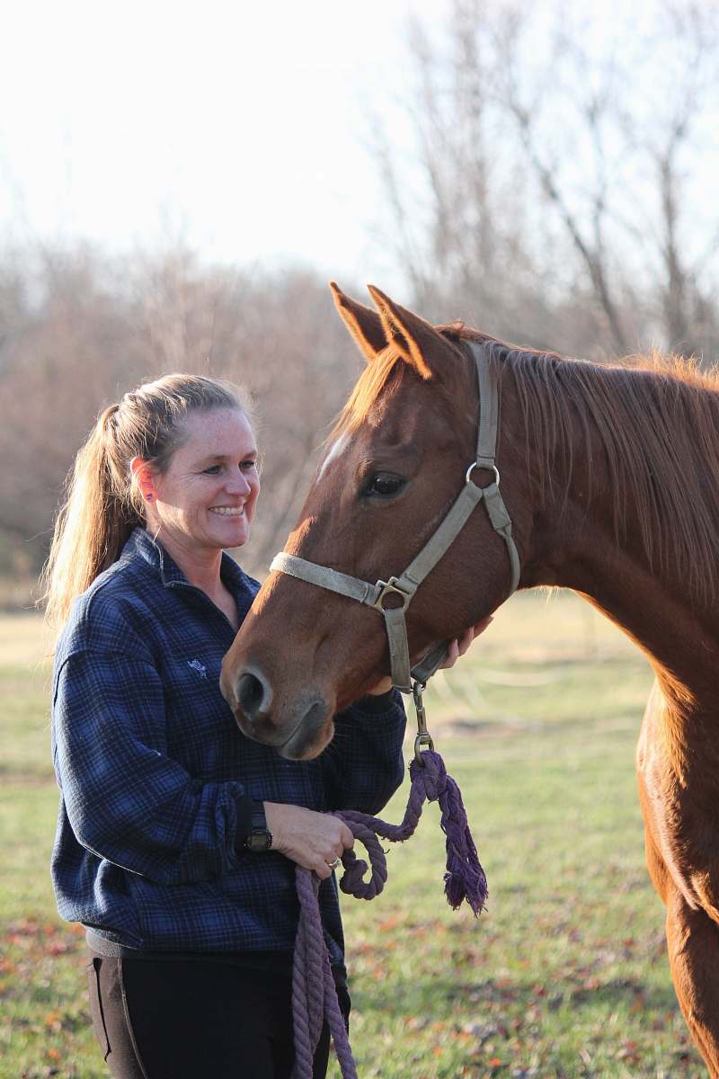 horse woman holding horse mammal