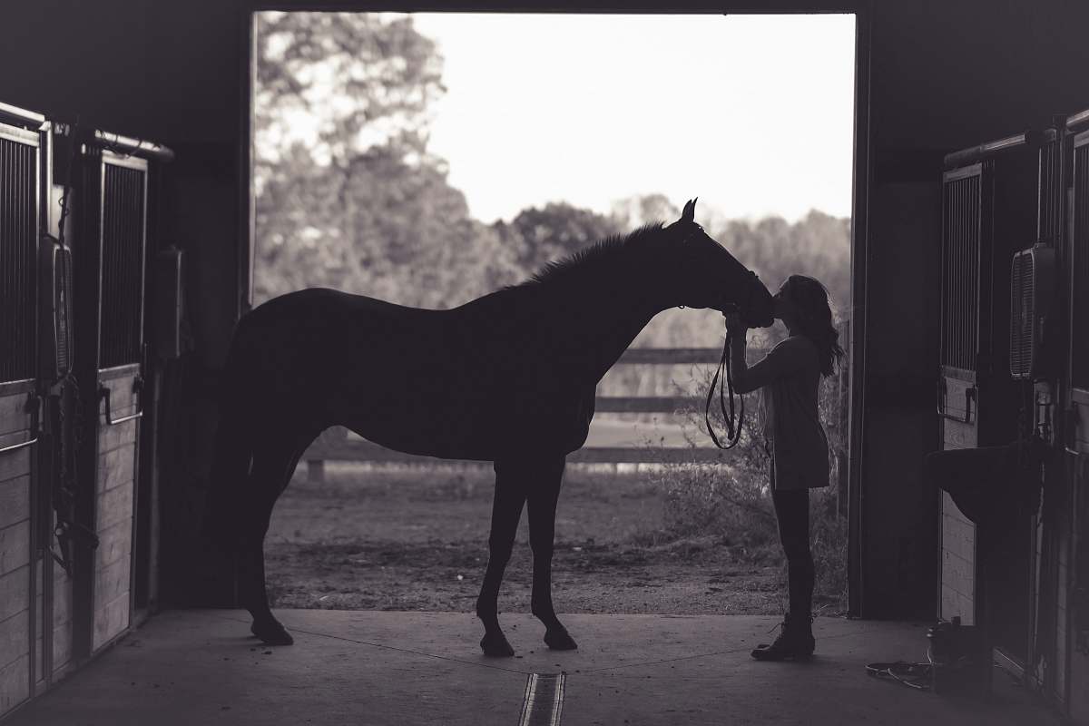 silhouette woman kissing horse horse