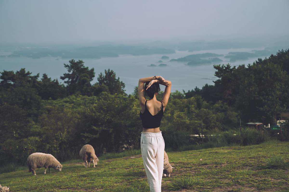 mammal woman standing near sheep in green field surrounded with tall and green trees sheep