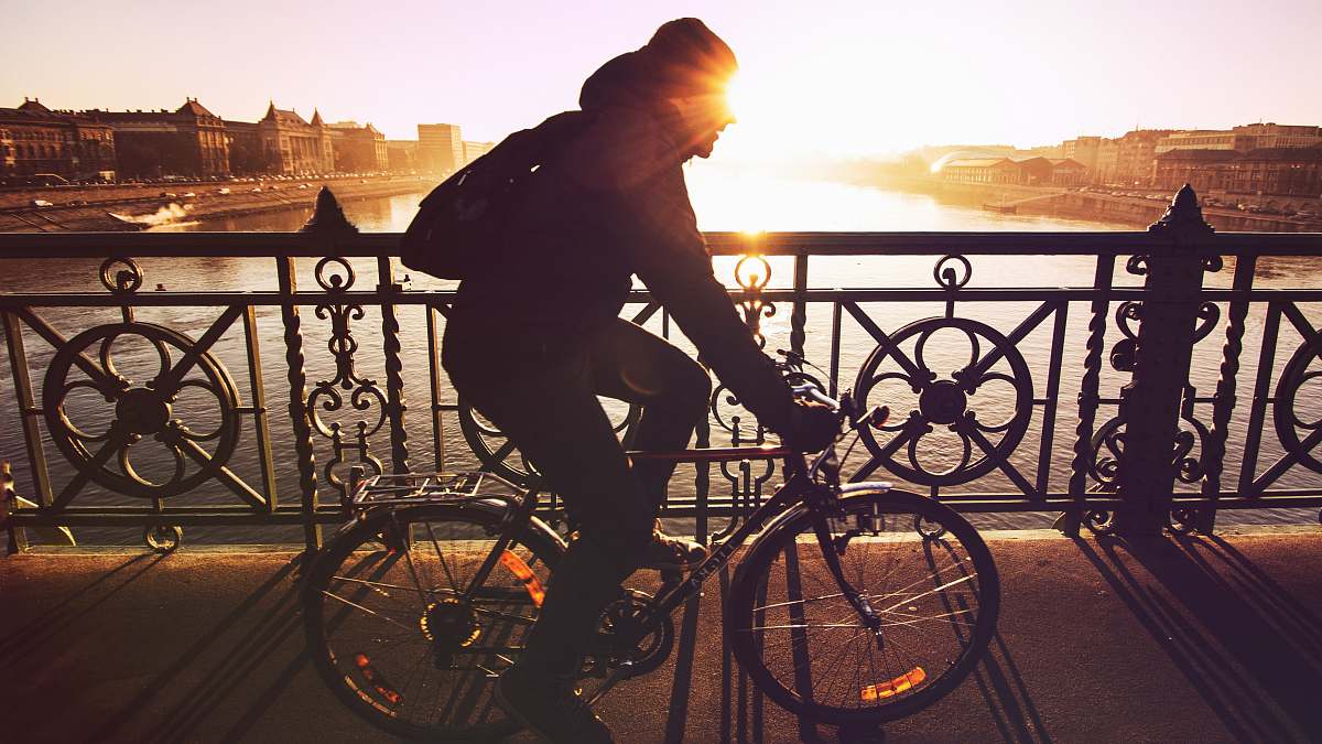 bike man riding bicycle in silhouette painting bridge