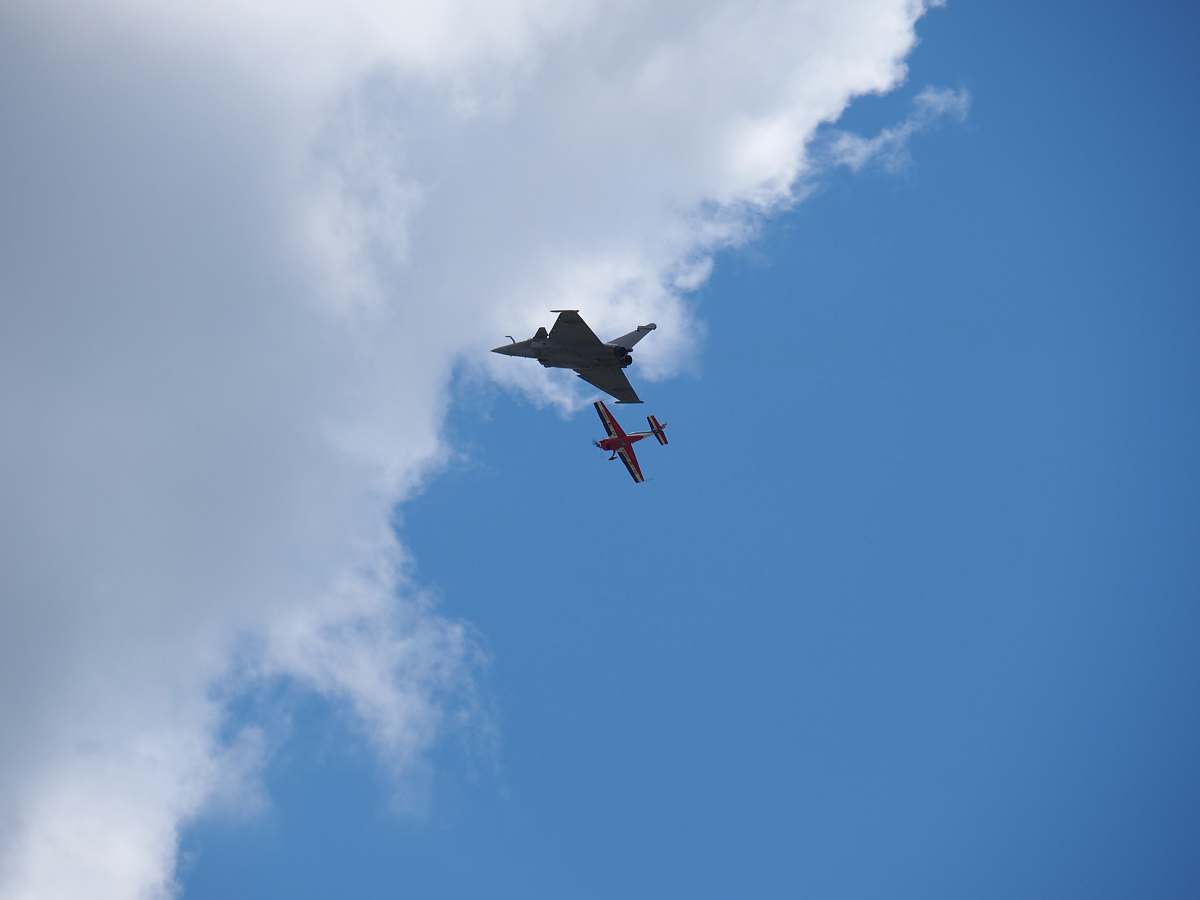 animal modern and classic planes flying side by side in aerial show flying
