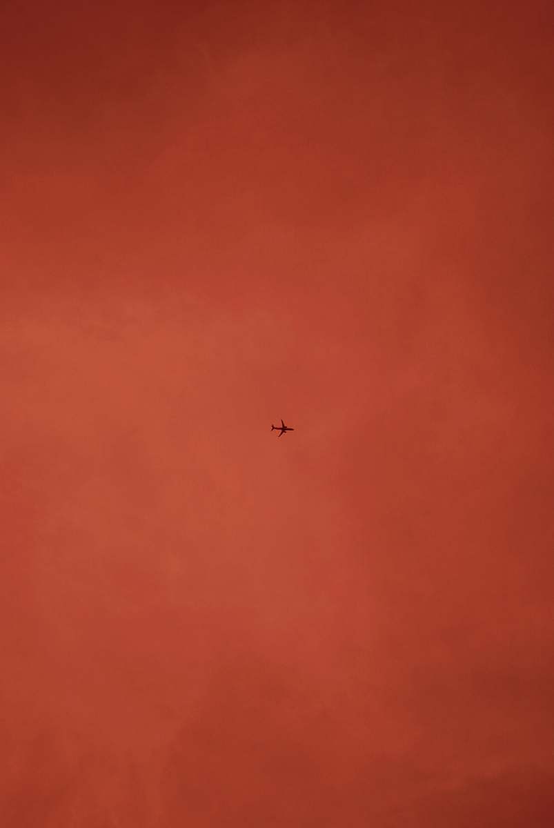 flying red and white abstract painting brown