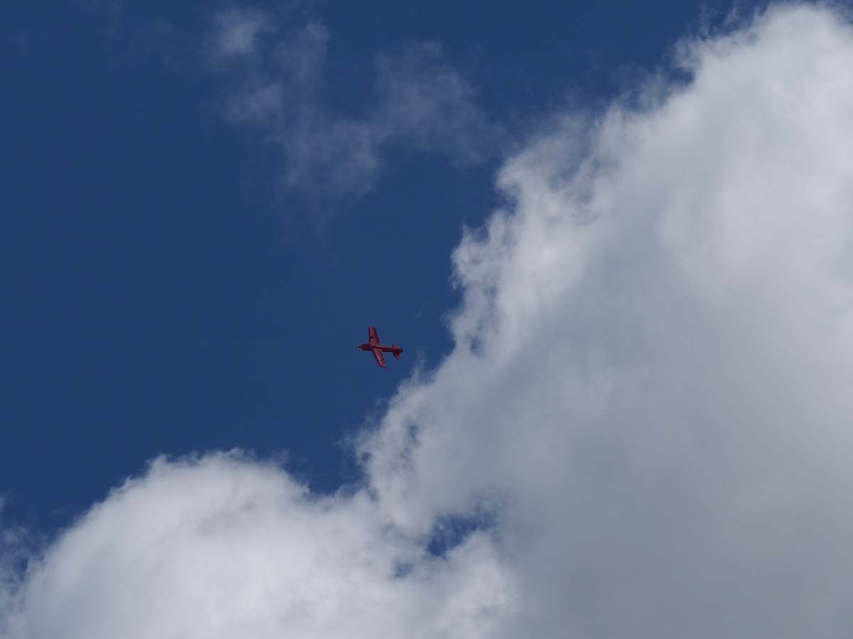 animal red plane overhead flying