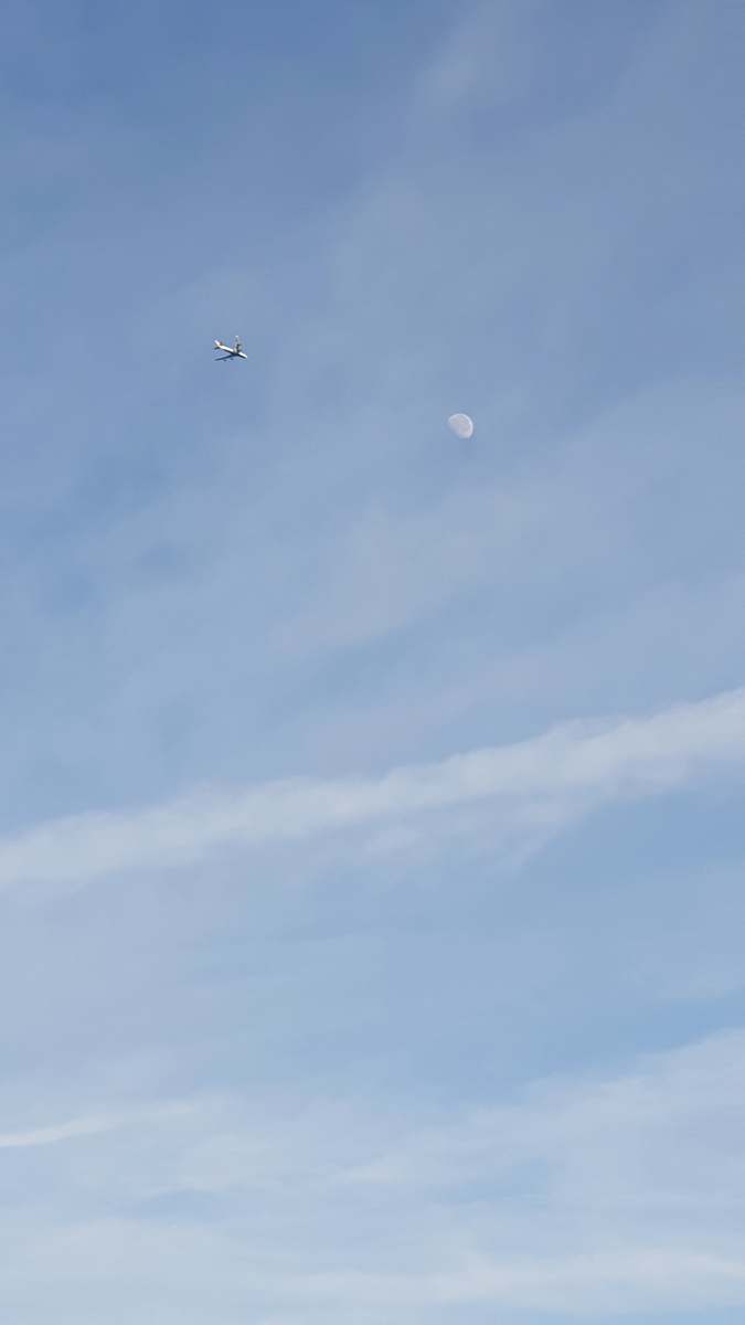 flying white and red plane blue
