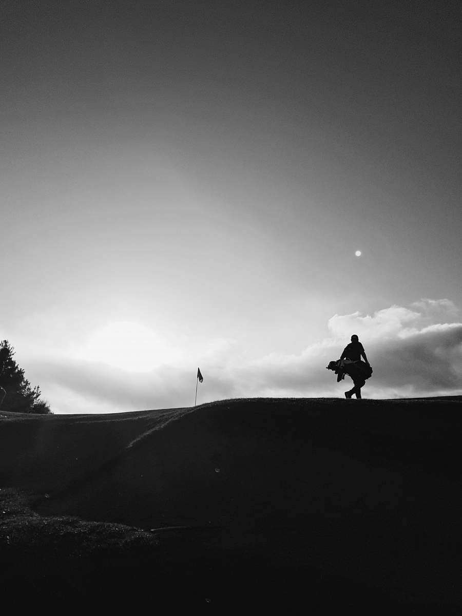 grey grayscale photo of person walking near tree plant