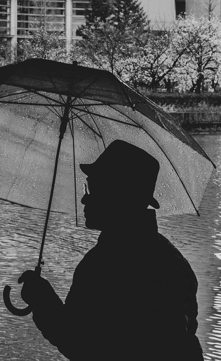 umbrella grayscale silhotte of man holding umbrella canopy