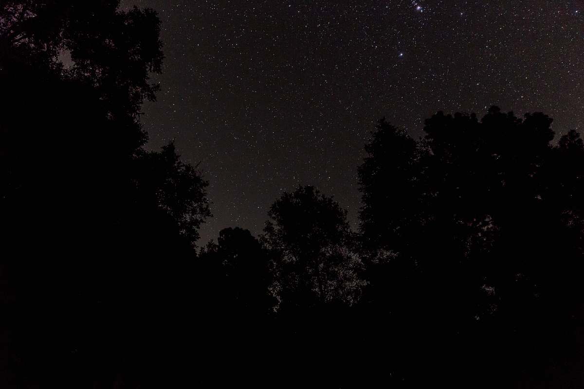 mexico night sky night