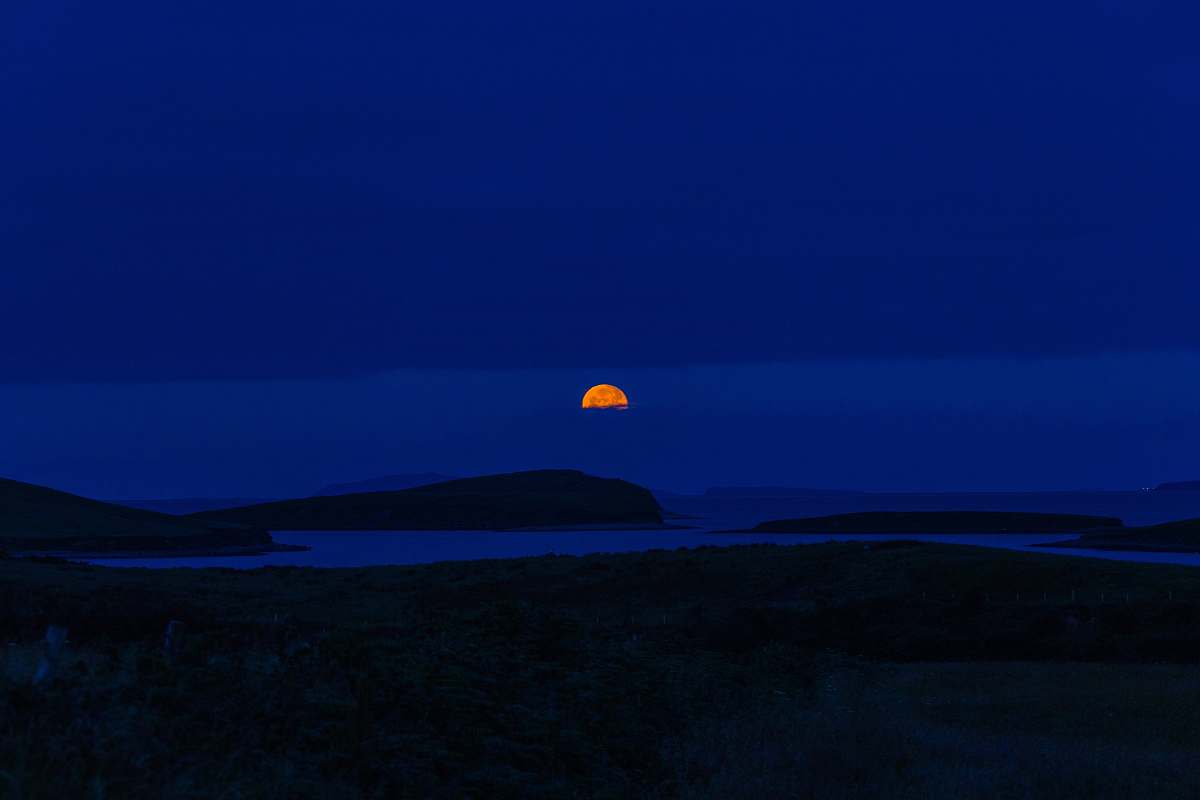 horizon orange moon during nighttime orange