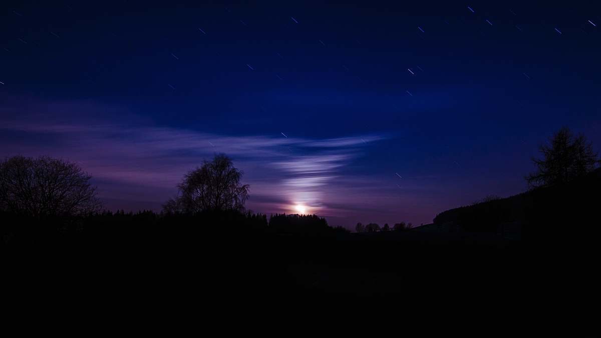 night silhouette of trees during nighttime sky