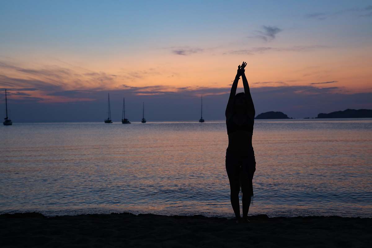 transportation silhouette of person raising hand vehicle