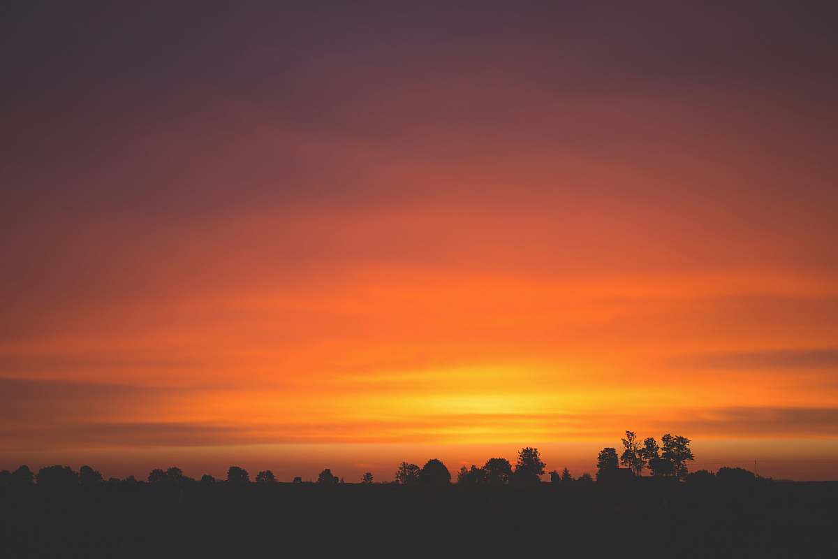 sunset silhouette of trees nature