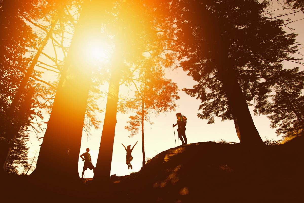 dawn silhouette photo of three person near tall trees sunset