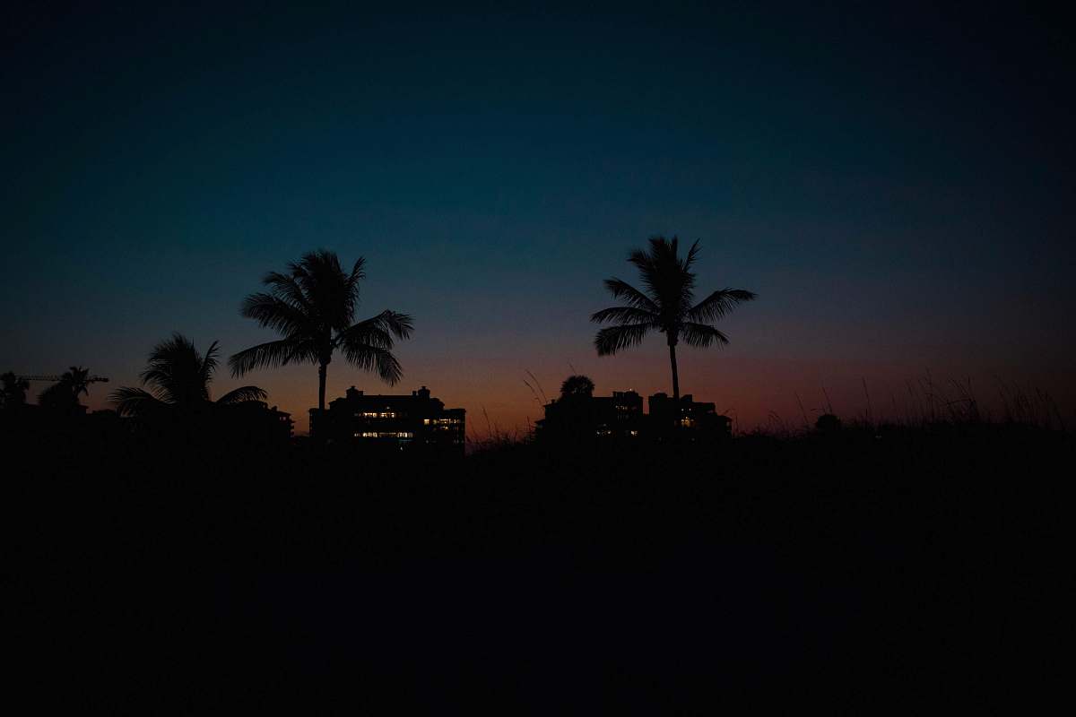 nature silhouette photography of coconut trees outdoors
