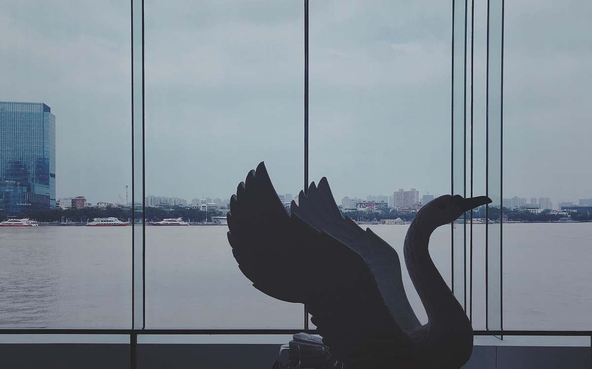 silhouette  animal